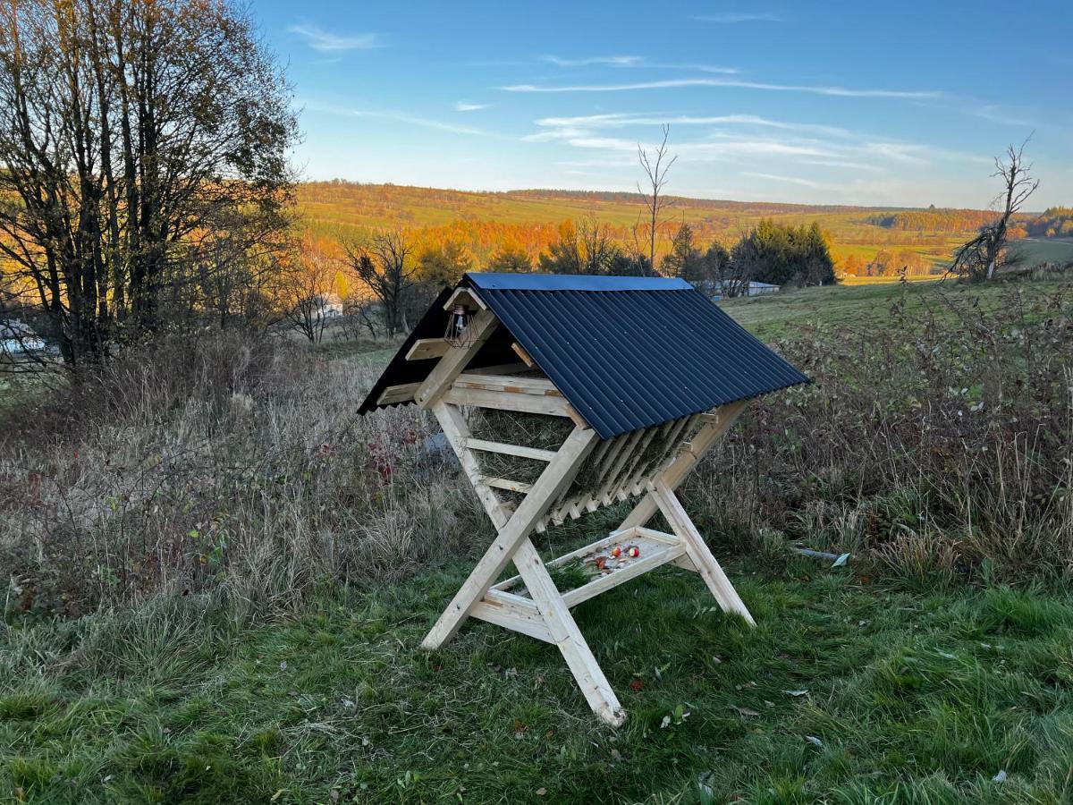 Luxus Ferienhaus Erzgebirge In Alleinlage Altenberg  Esterno foto