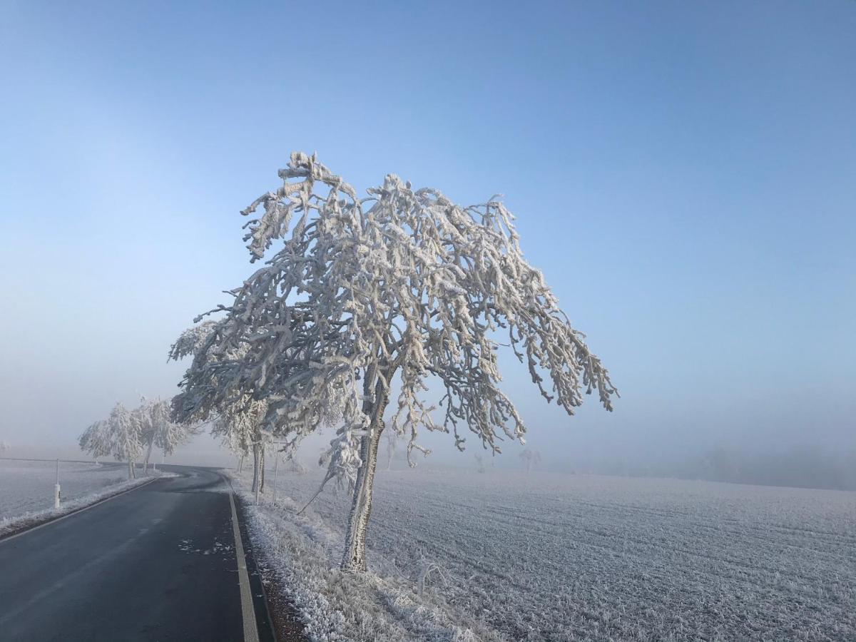 Luxus Ferienhaus Erzgebirge In Alleinlage Altenberg  Esterno foto